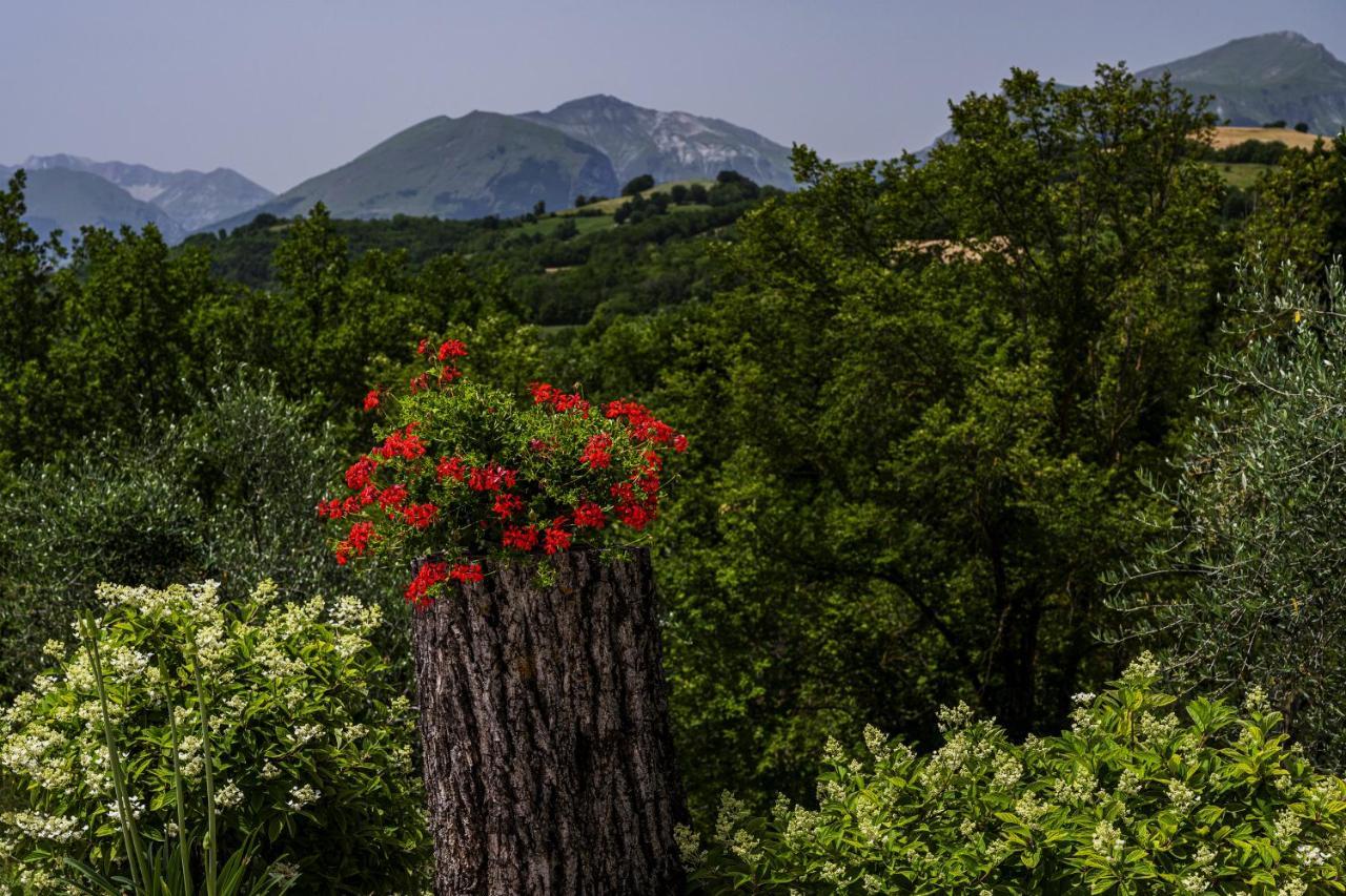 Casa Friano Bed & Breakfast Amandola Exterior photo